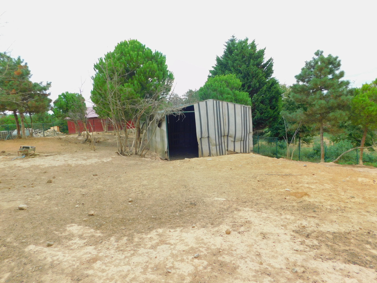 Stable for the Walkthrough Animals at Park of Istanbul