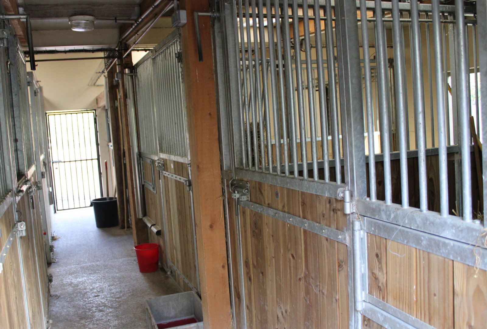 Stables Addax - Ostrich - Dorcas gazelle