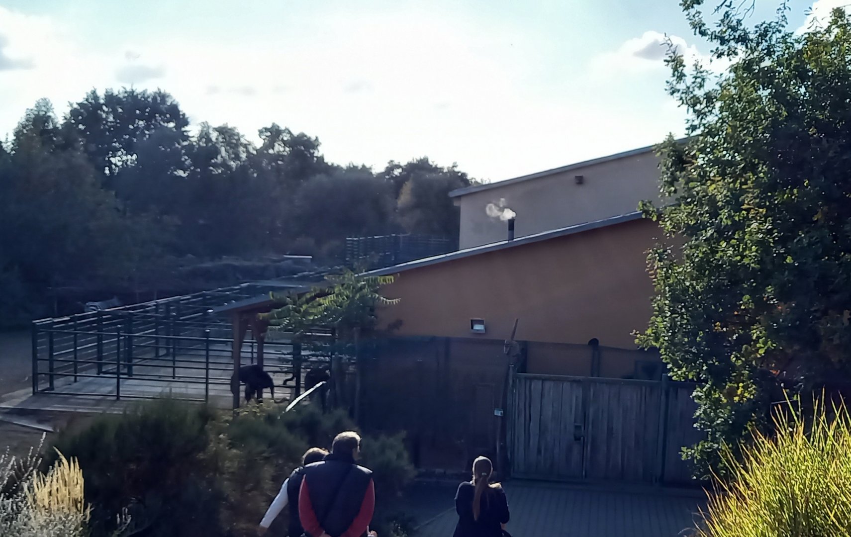 Stables African savanna