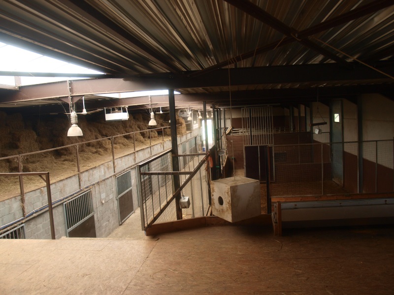 Stables inside the savannah building (April 19th 2015)
