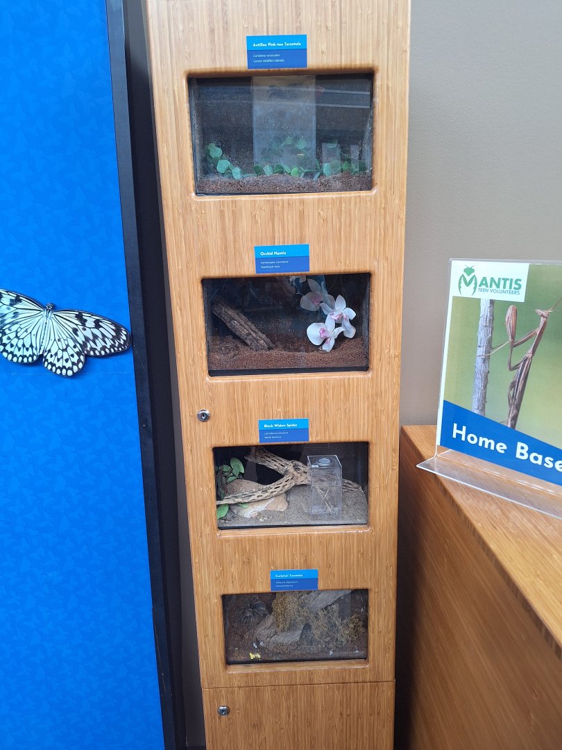 Stack of Small Terarriums