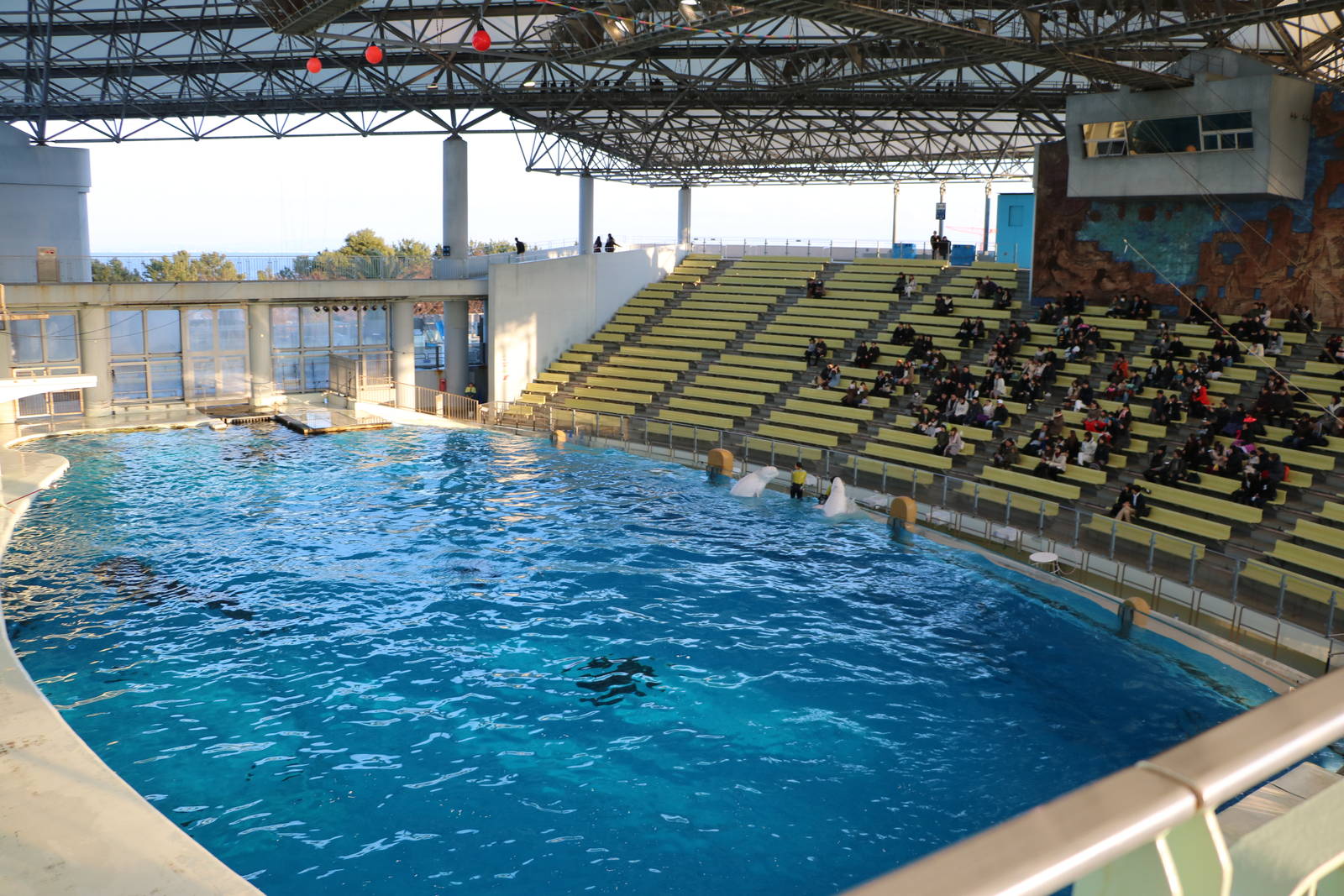 Stadium, February 2016