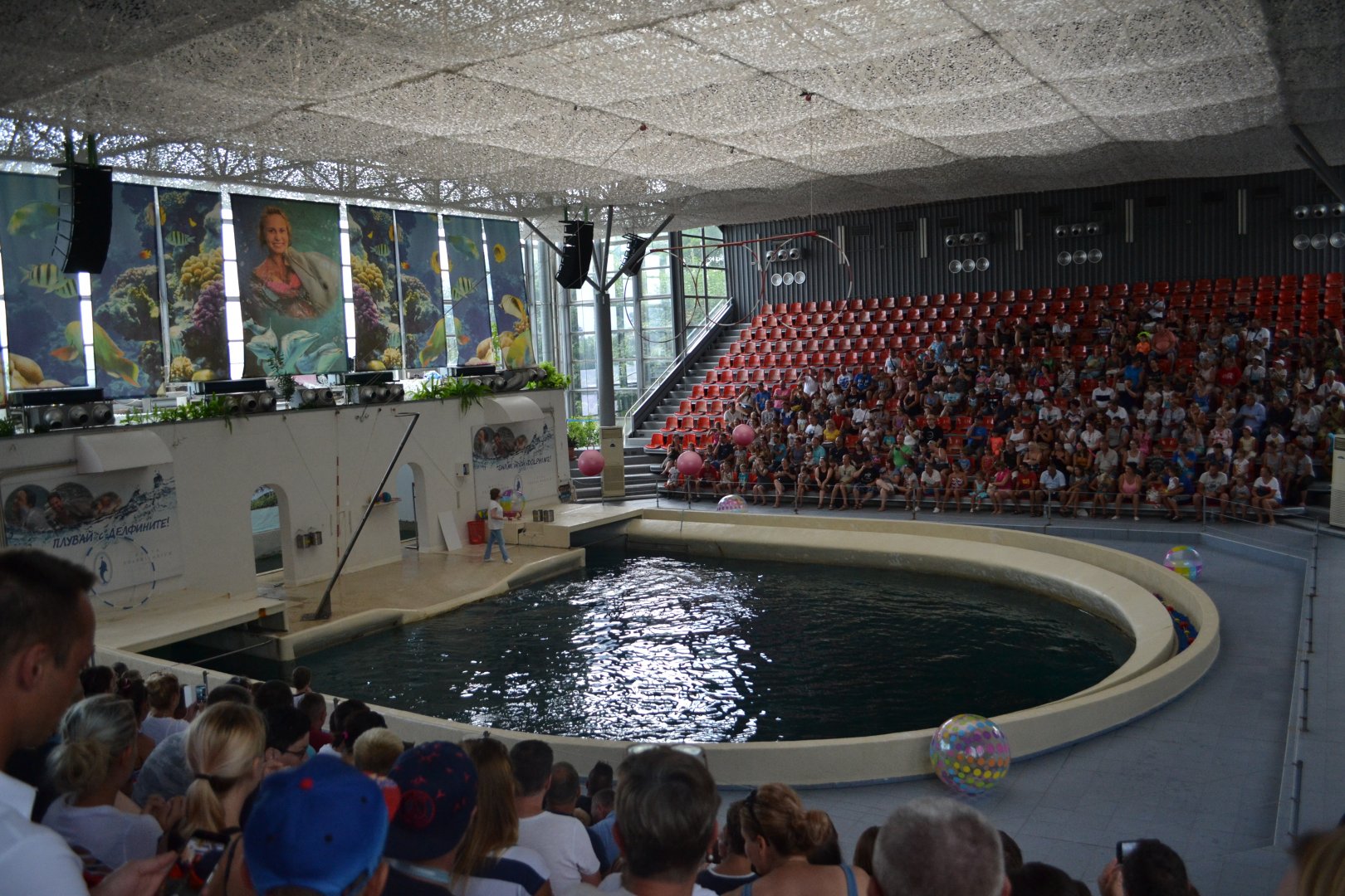 Stadium for dolphin shows