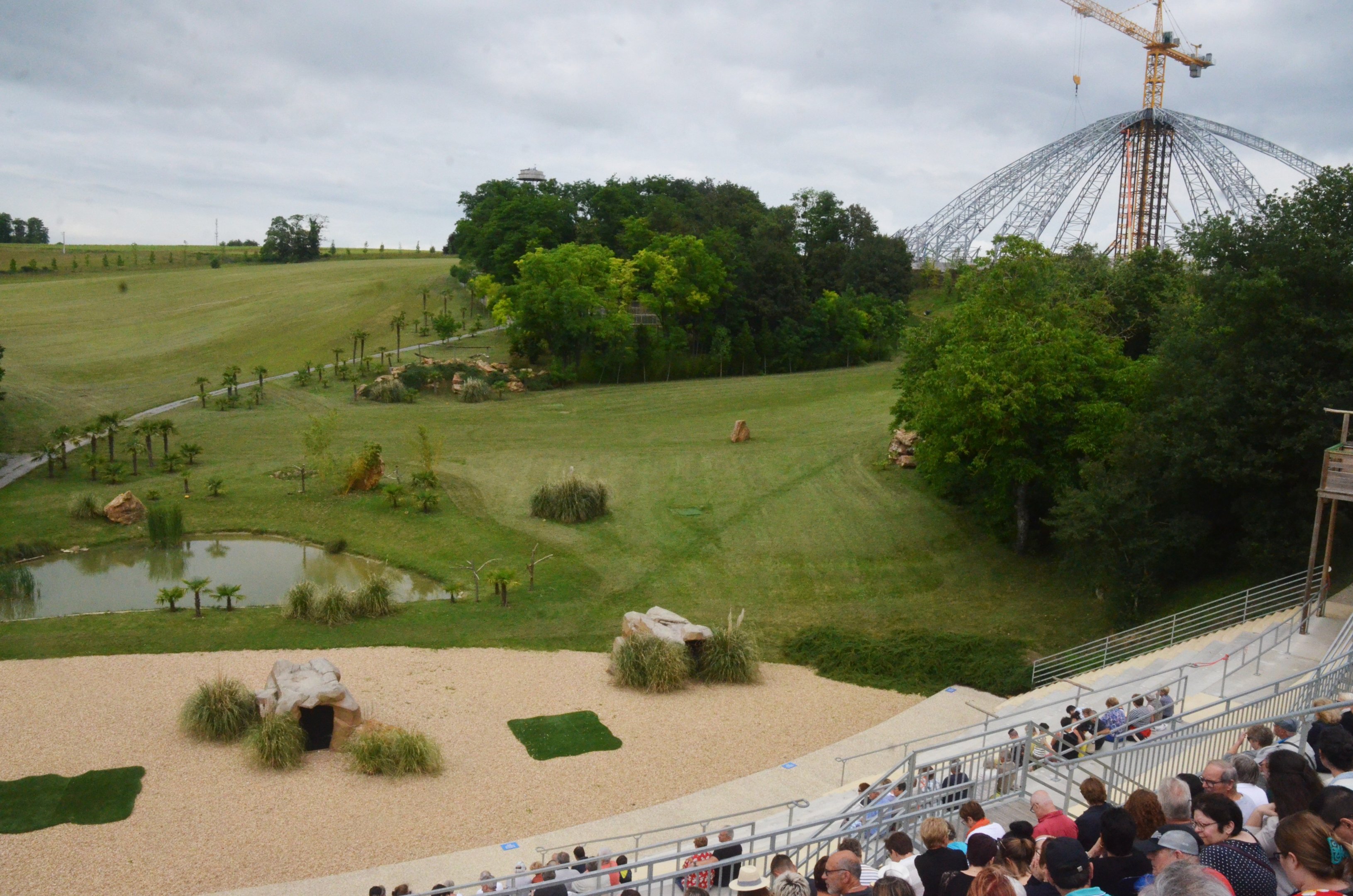 Stadium - Les Maîtres des Airs at Beauval, 12/06/18