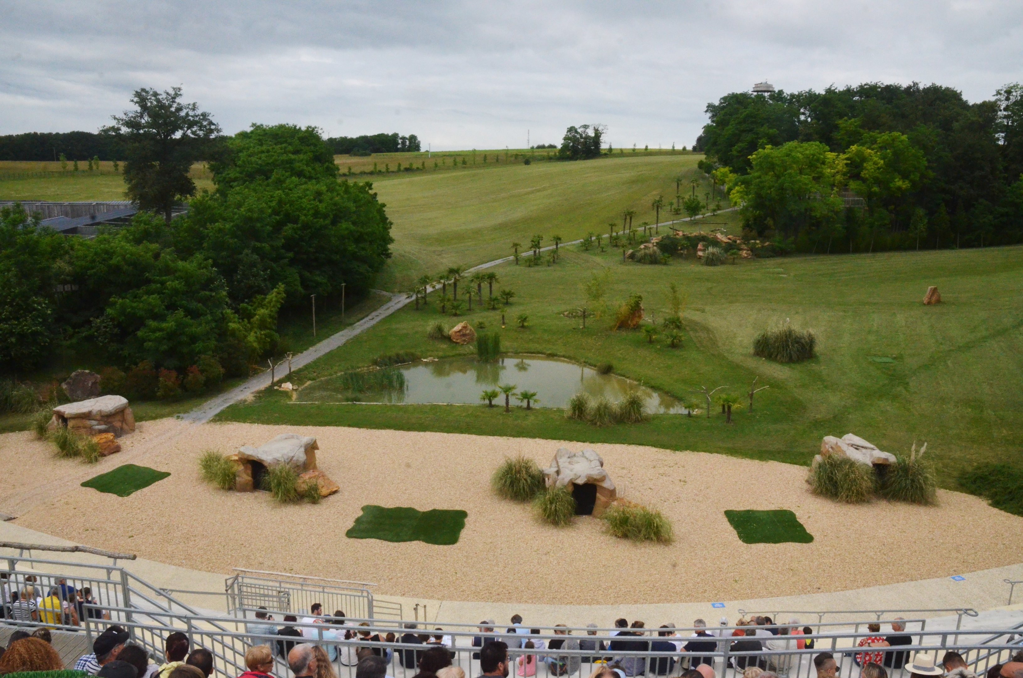 Stadium - Les Maîtres des Airs at Beauval, 12/06/18