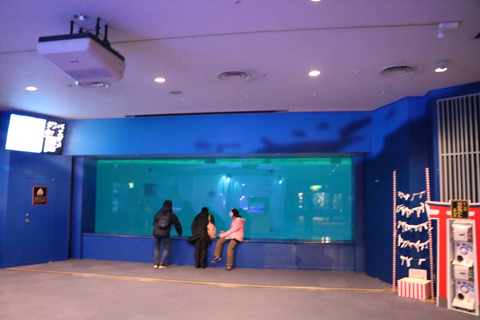 Stadium tank viewing window, February 2016