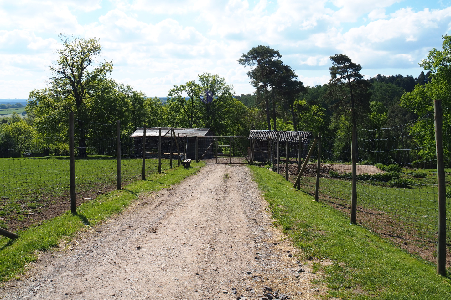 Staff and equipment access to the deer and mouflon paddock, 2021-05-29