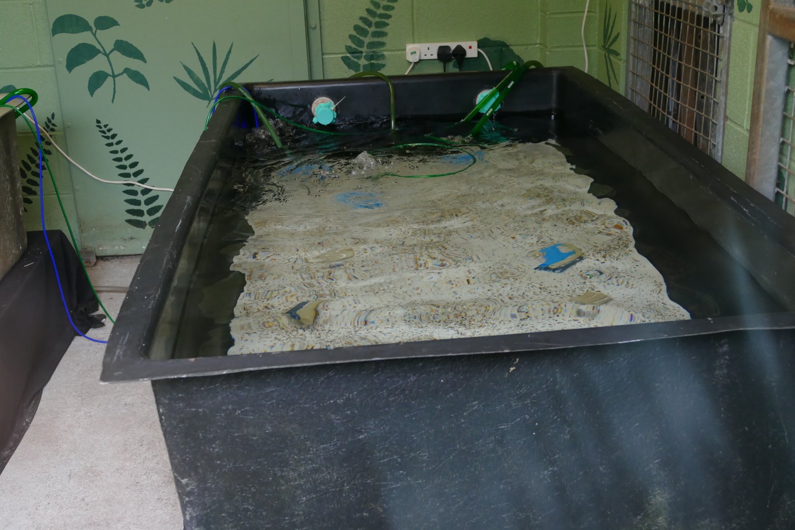 Staff jacuzzi? April 2018