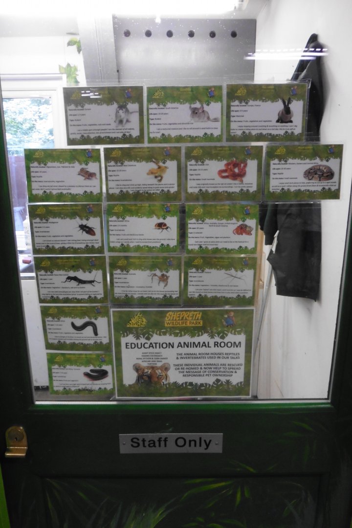 Staff only  reptile and invert breeding tanks