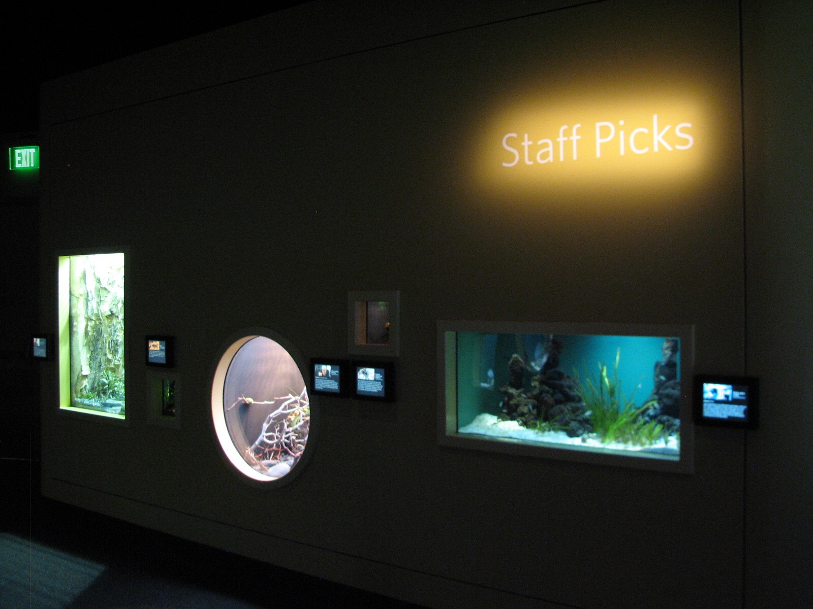 Staff Picks - Exhibits