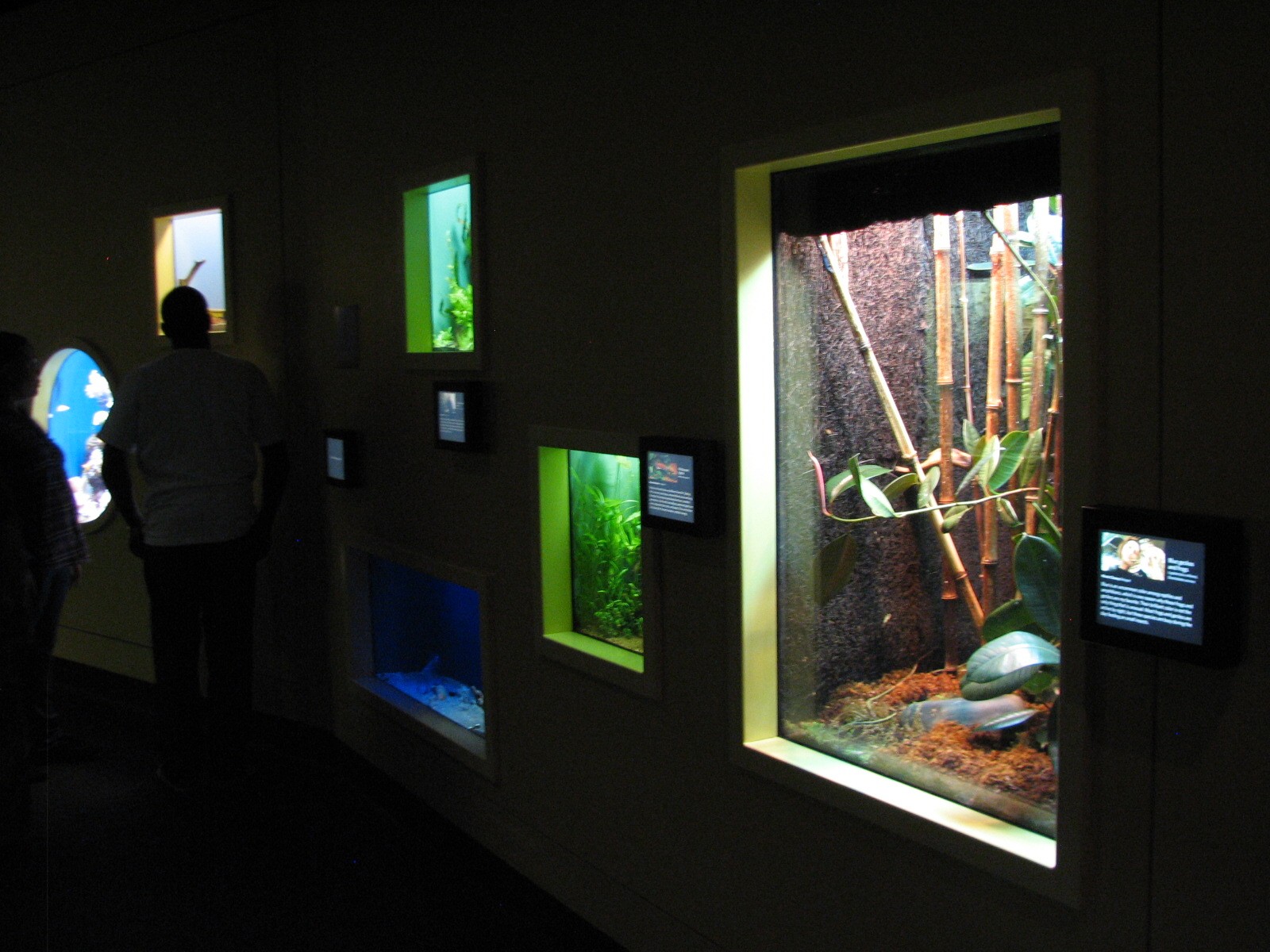 Staff Picks - Exhibits