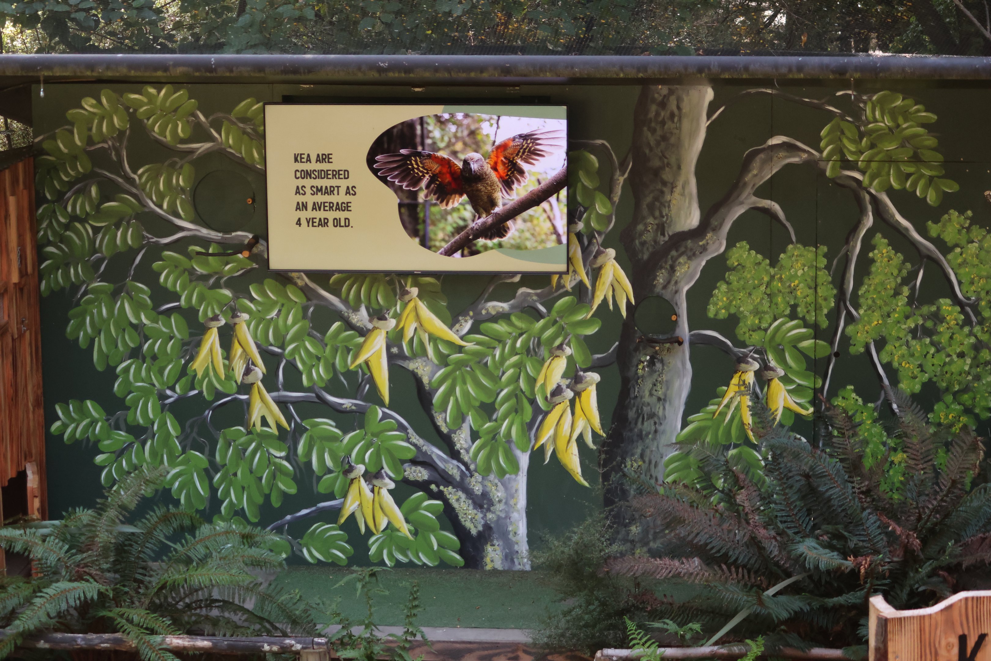 Stage for free-flight conservation show