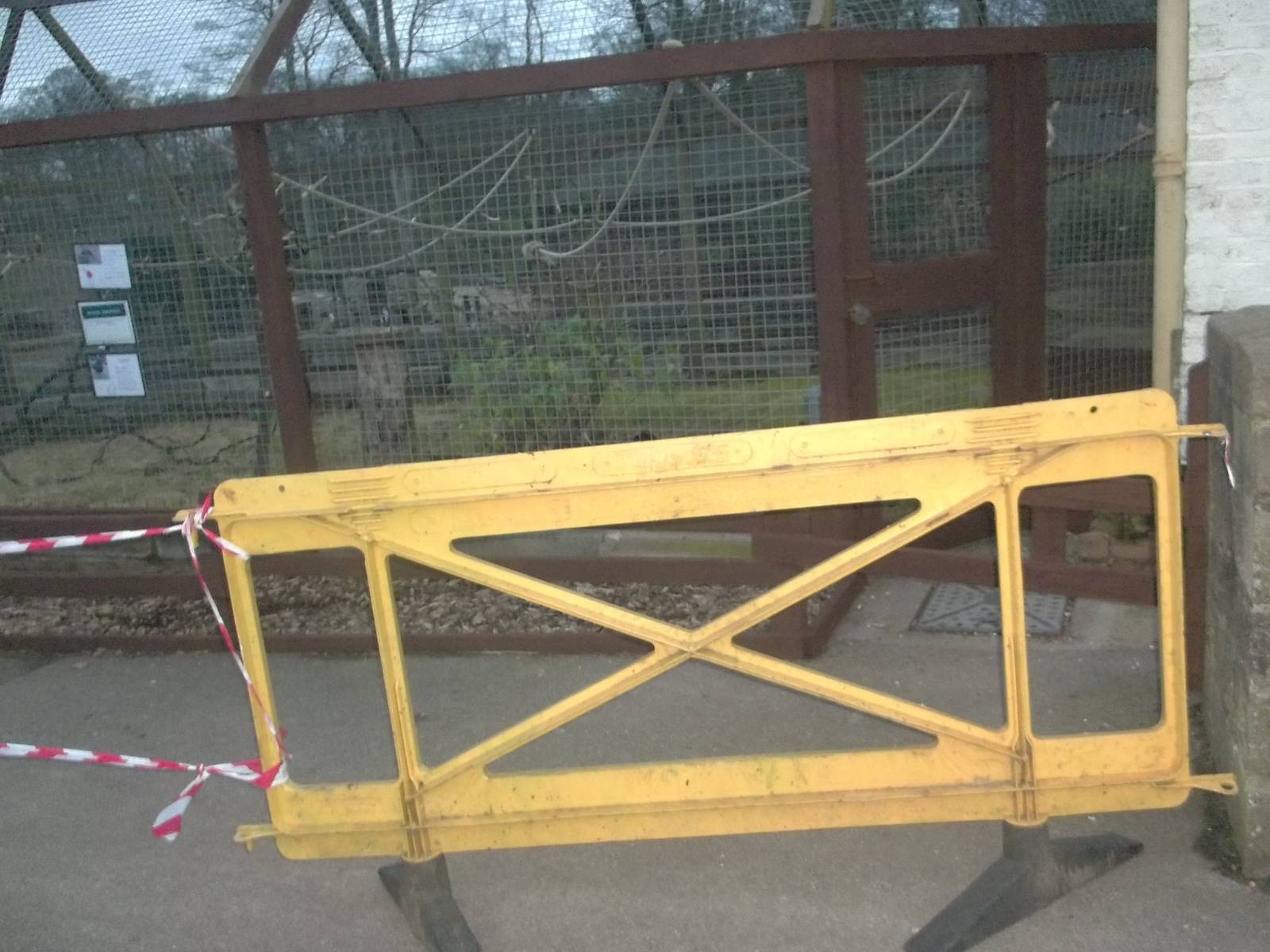 Staining operations around the Macaw Aviary, 11th January 2015