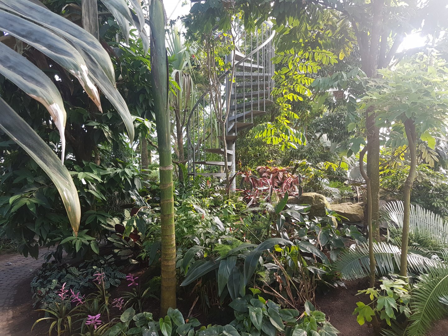 Stair-way to the hanging-bridge