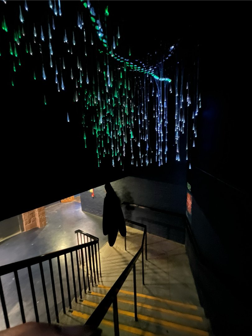 Stairs down to Nocturnal House 12.2.25