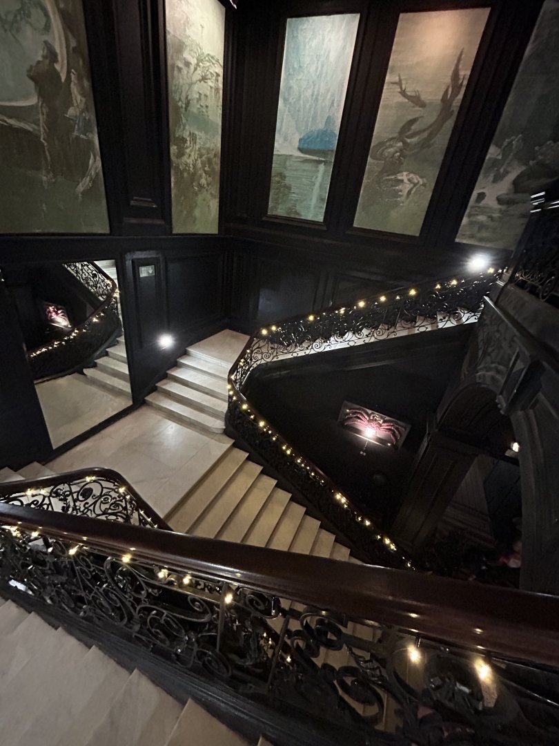 Stairs in the Aquarium with Christmas lights