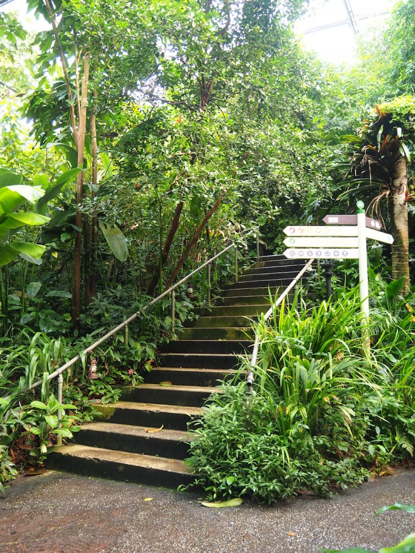 Stairs to elevated observation deck, 2023-10-07