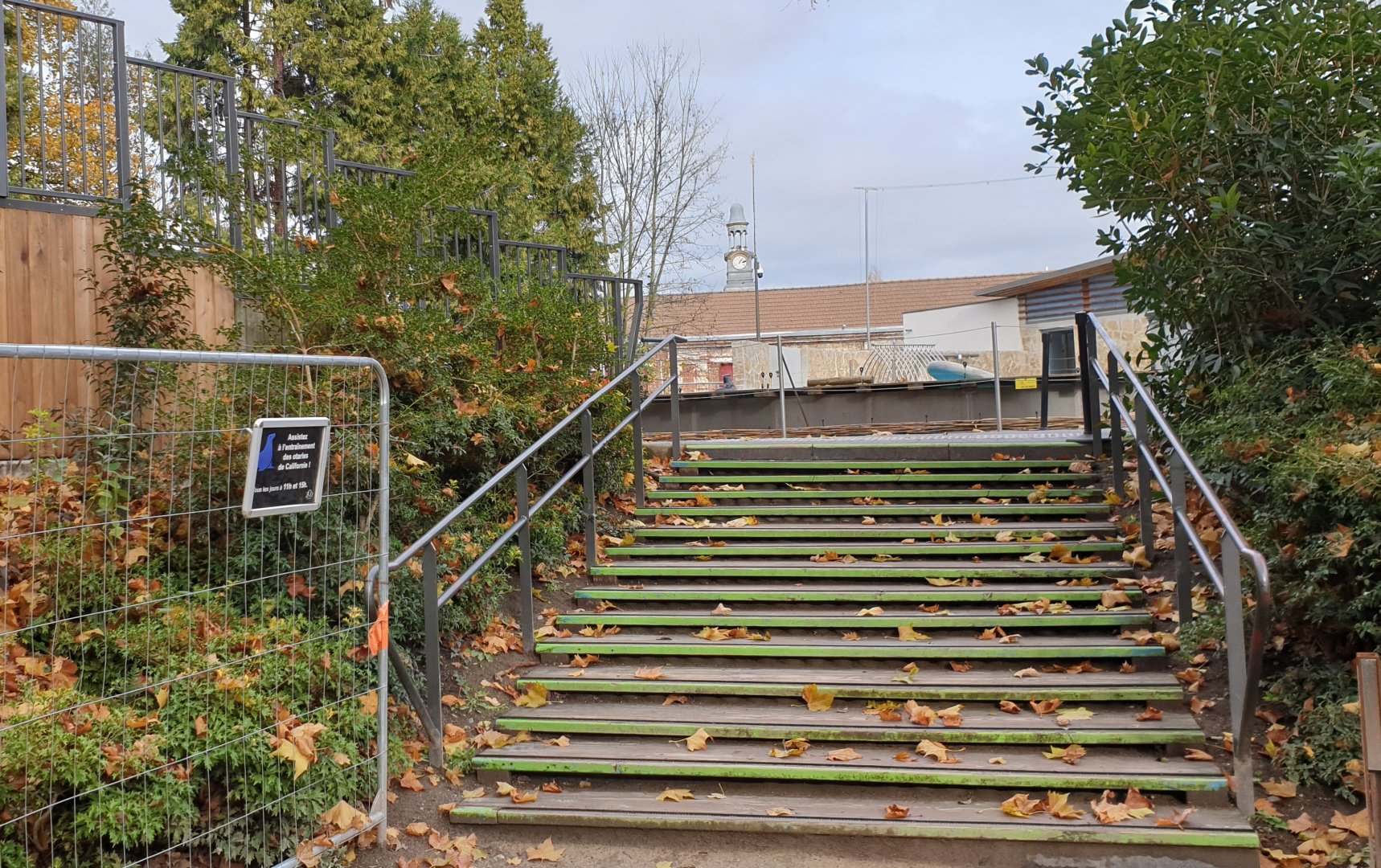 Stairs to Sea-lion enclosure