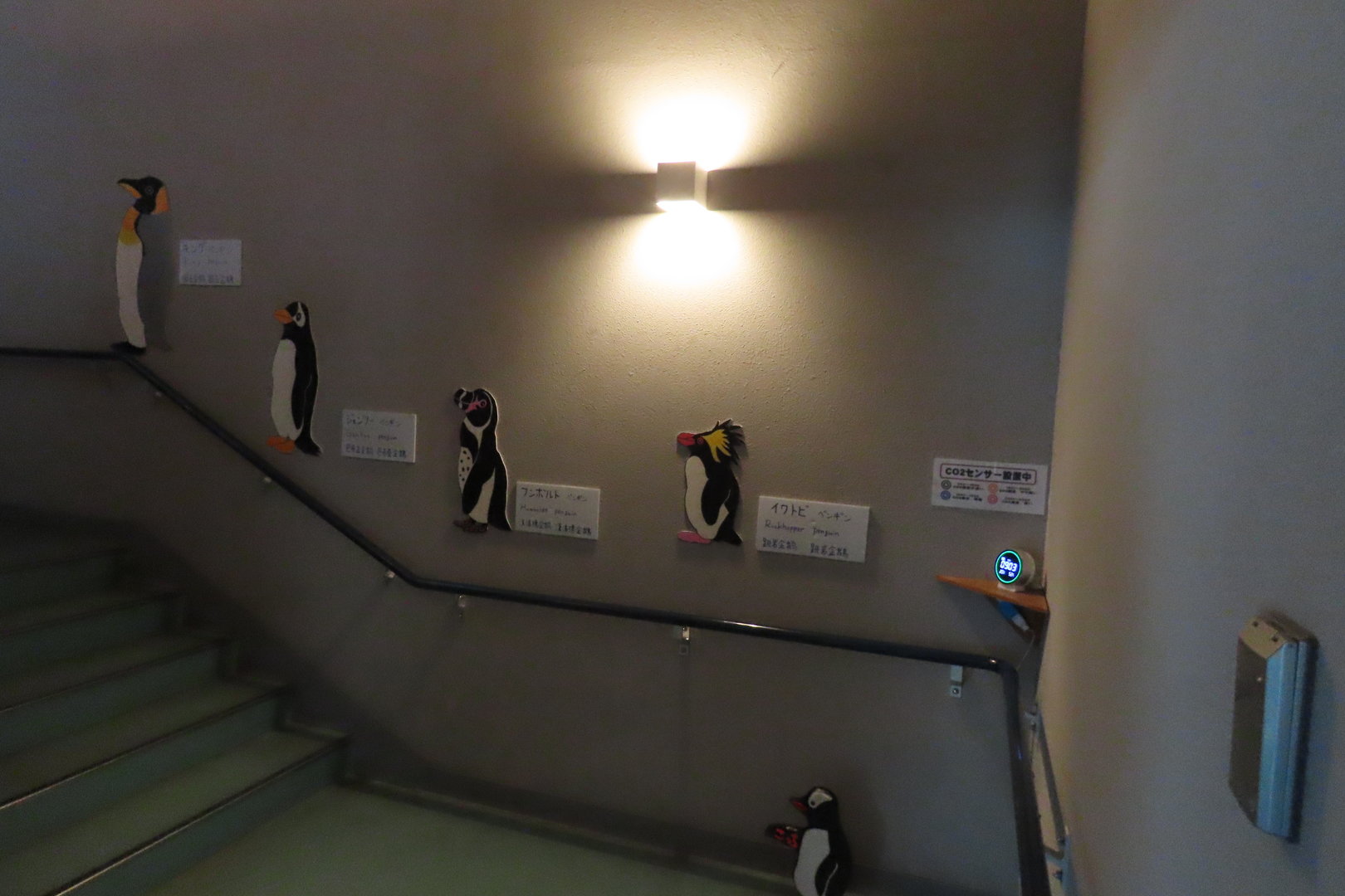 Stairs with penguin