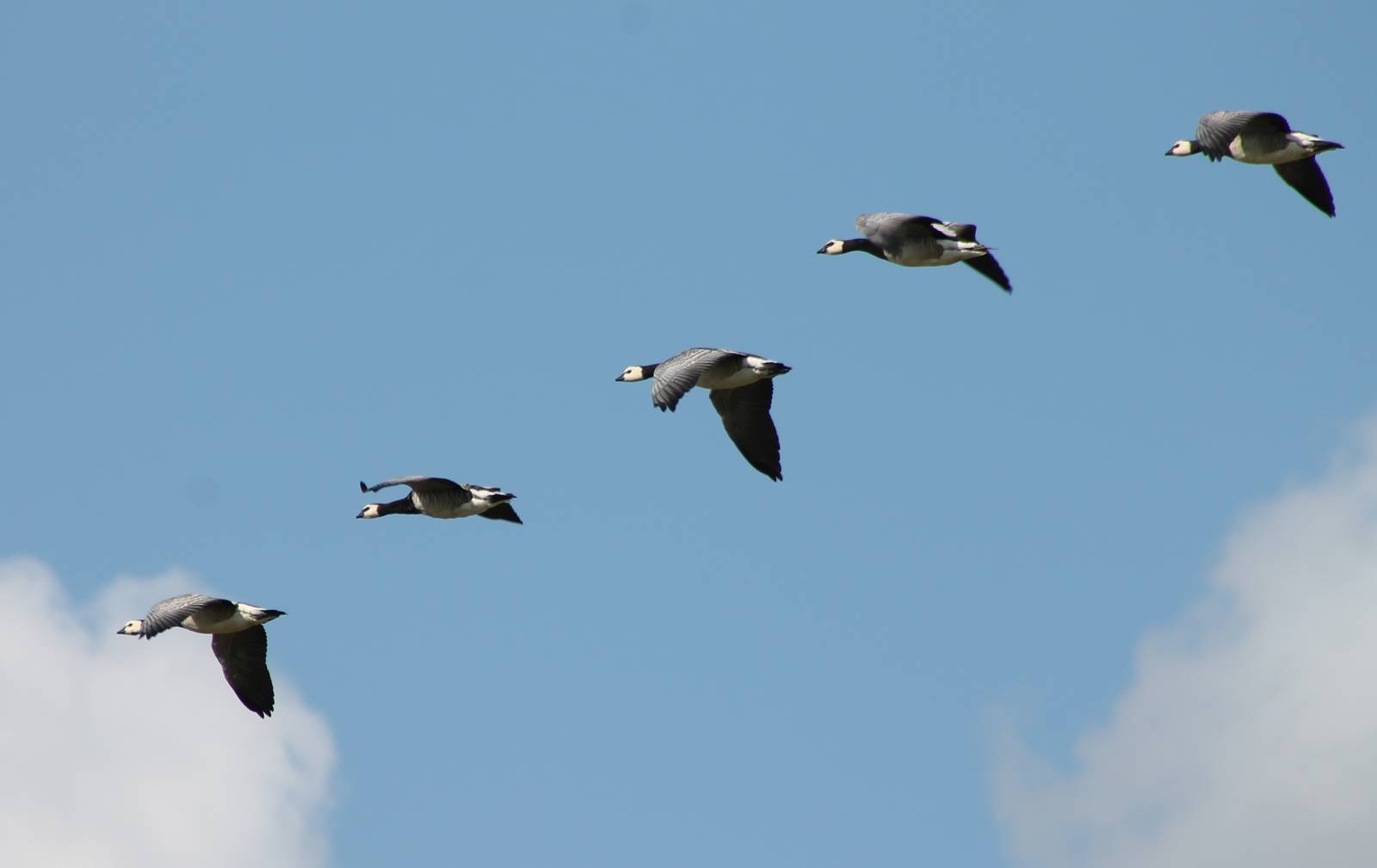 Stairway IN heaven.....