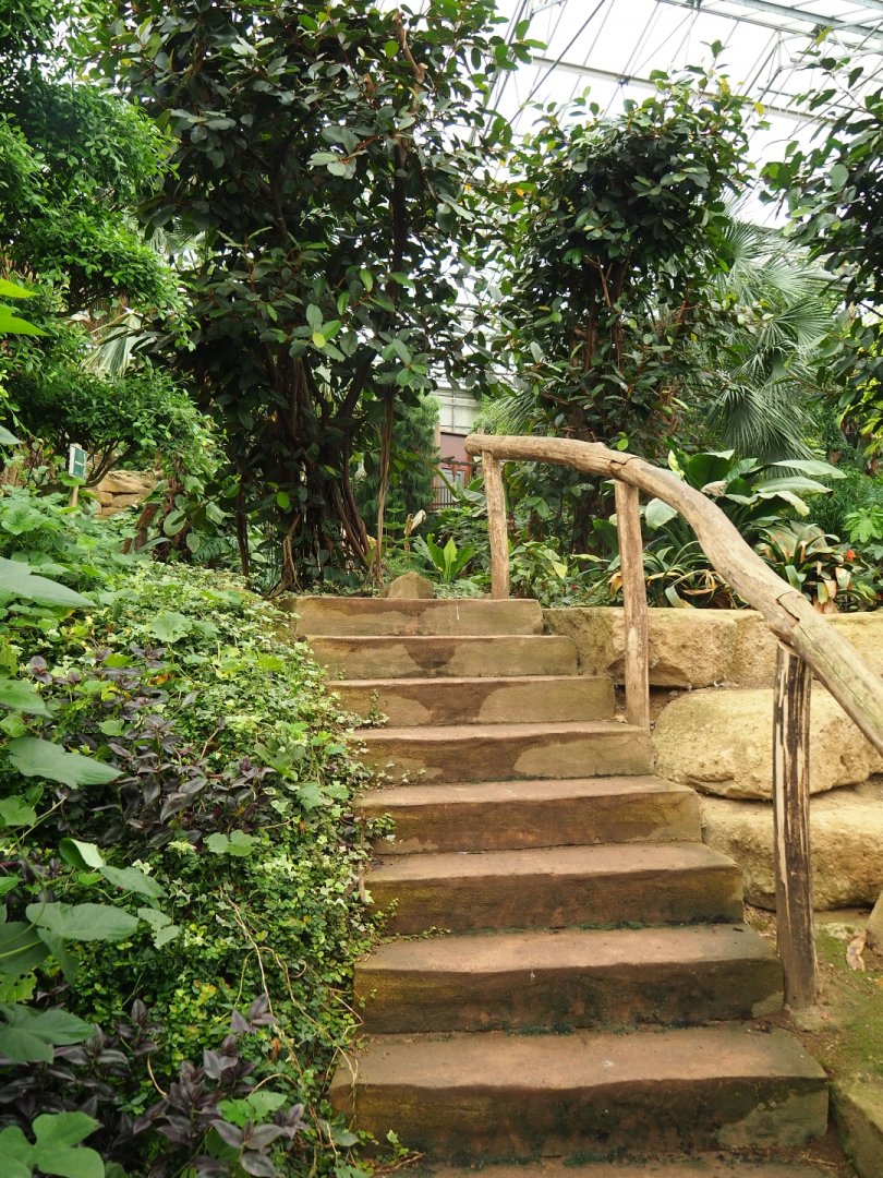 Stairway in the Tropical hall (Aug 28th, 2018)