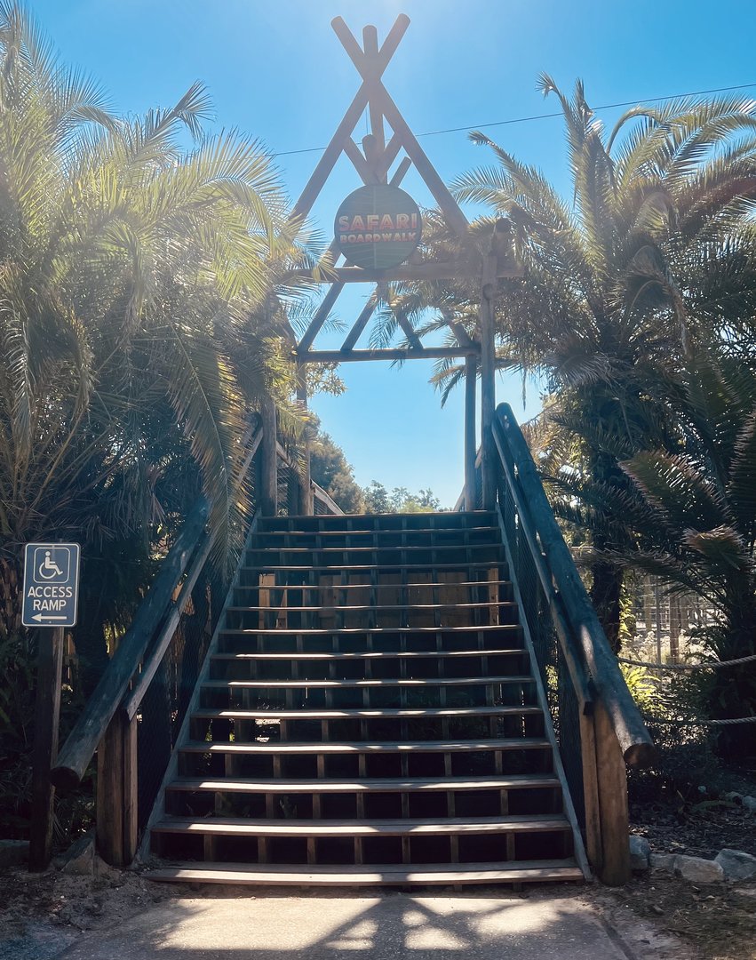 Stairway leading to boardwalk.