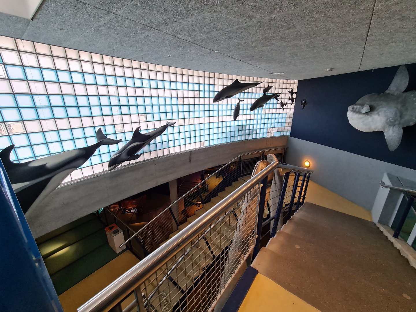 Stairway to Aquarium room