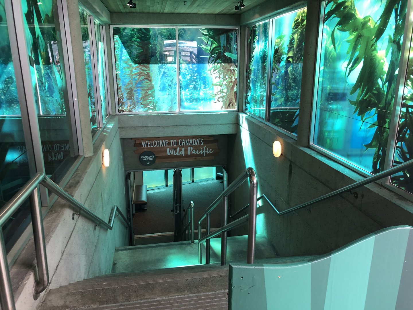 Stairway to Underwater Pinniped and Dolphin Viewing