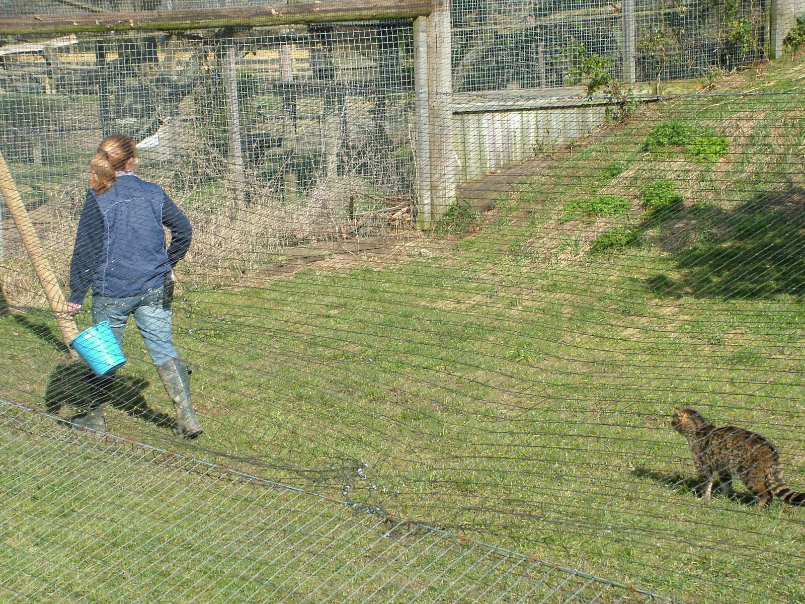 Stalking the Bucket at the British Wildlife Centre 14/03/10