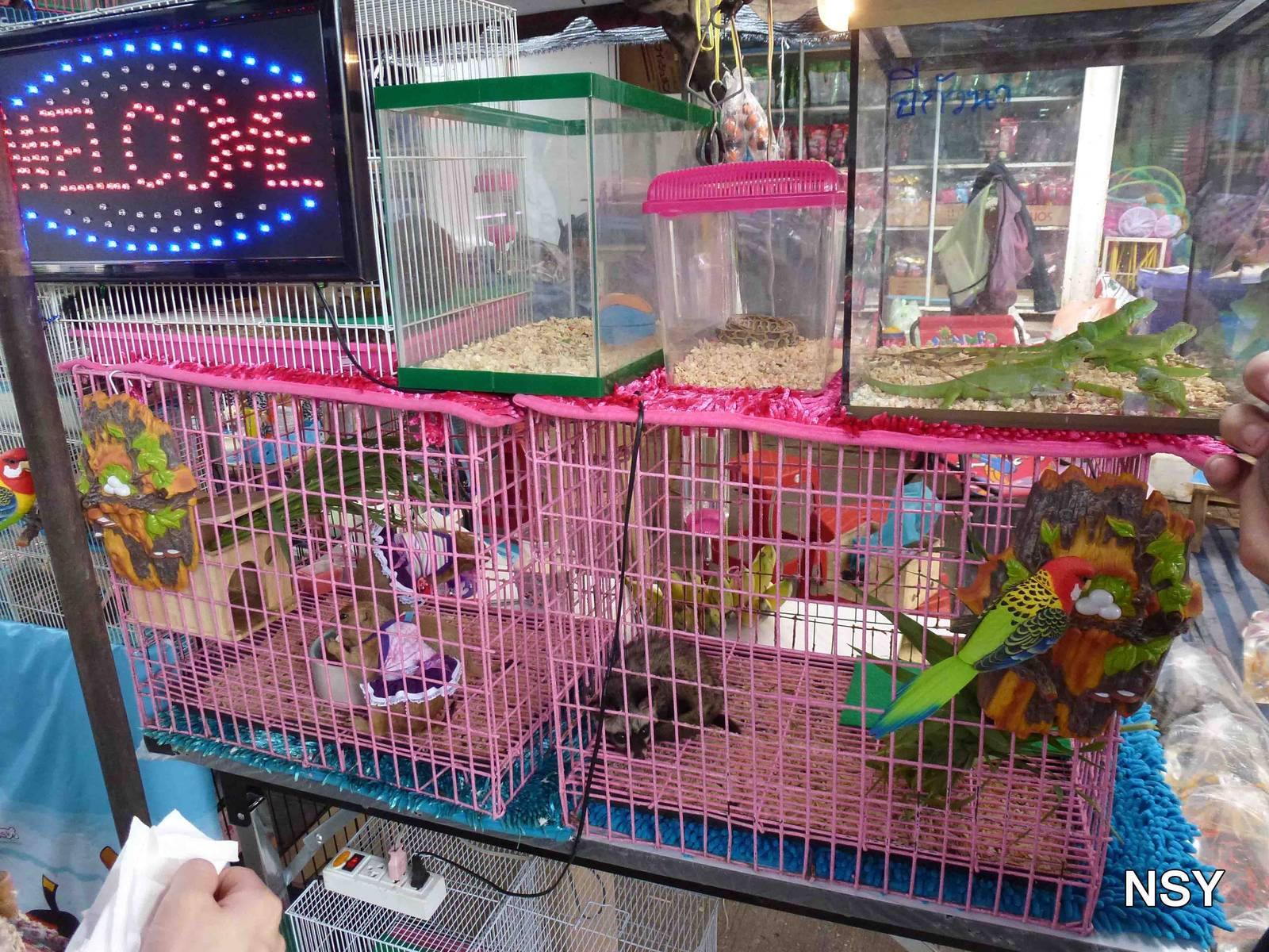 Stall - Chatuchak market, June 2013.