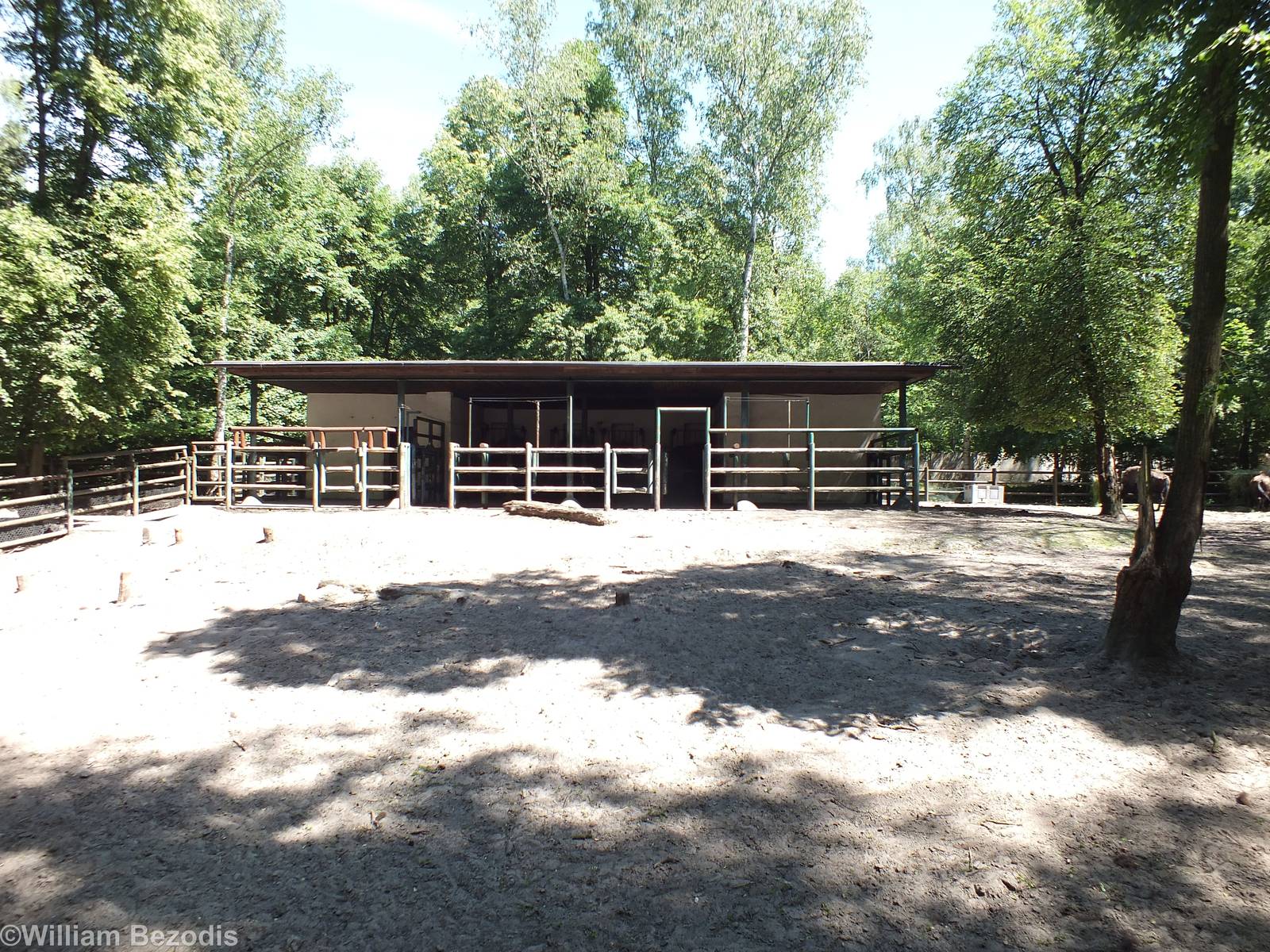 Stalls for Wood Bison