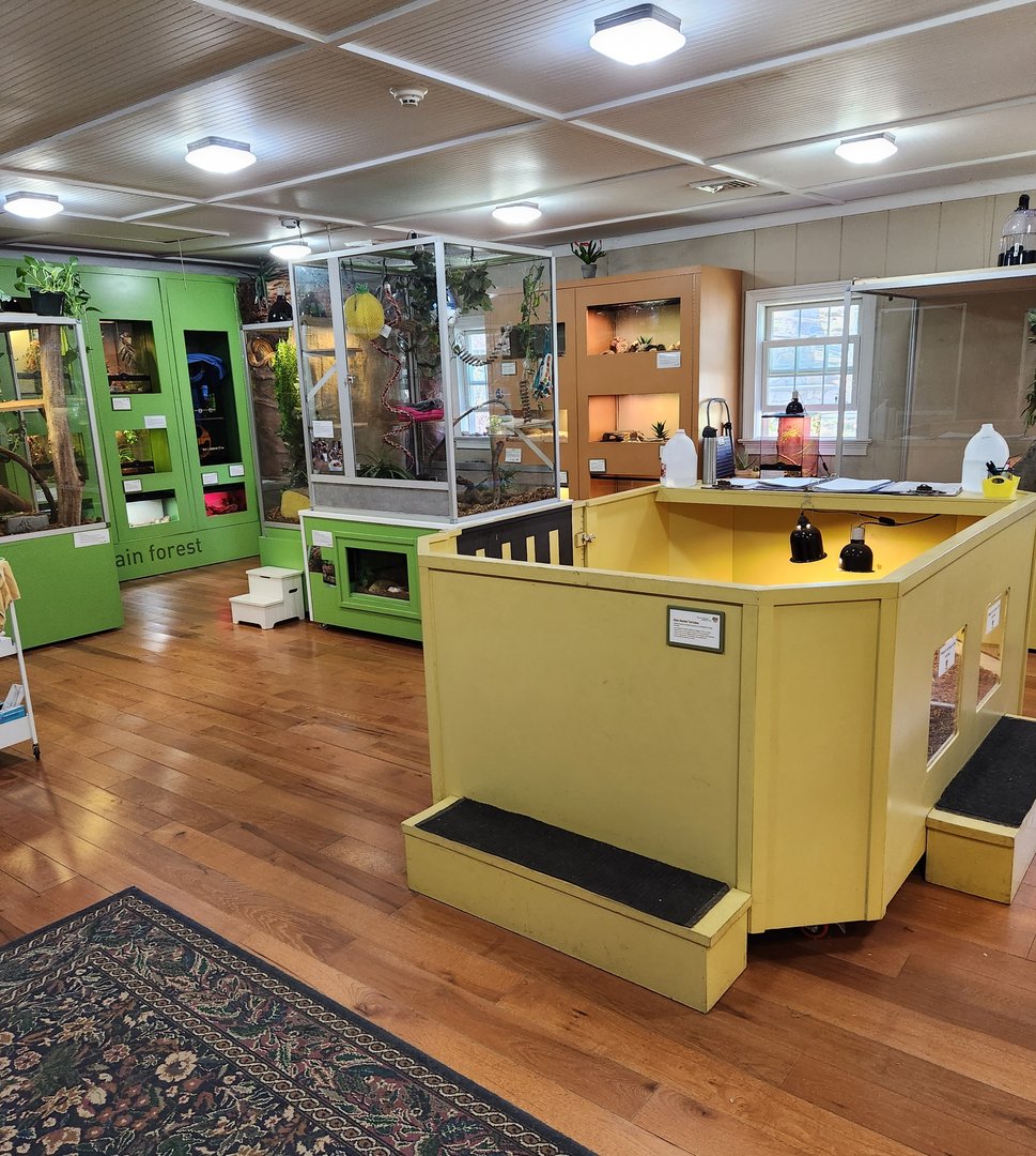 Stamford Museum & NC - Heckscher Wild exhibit room