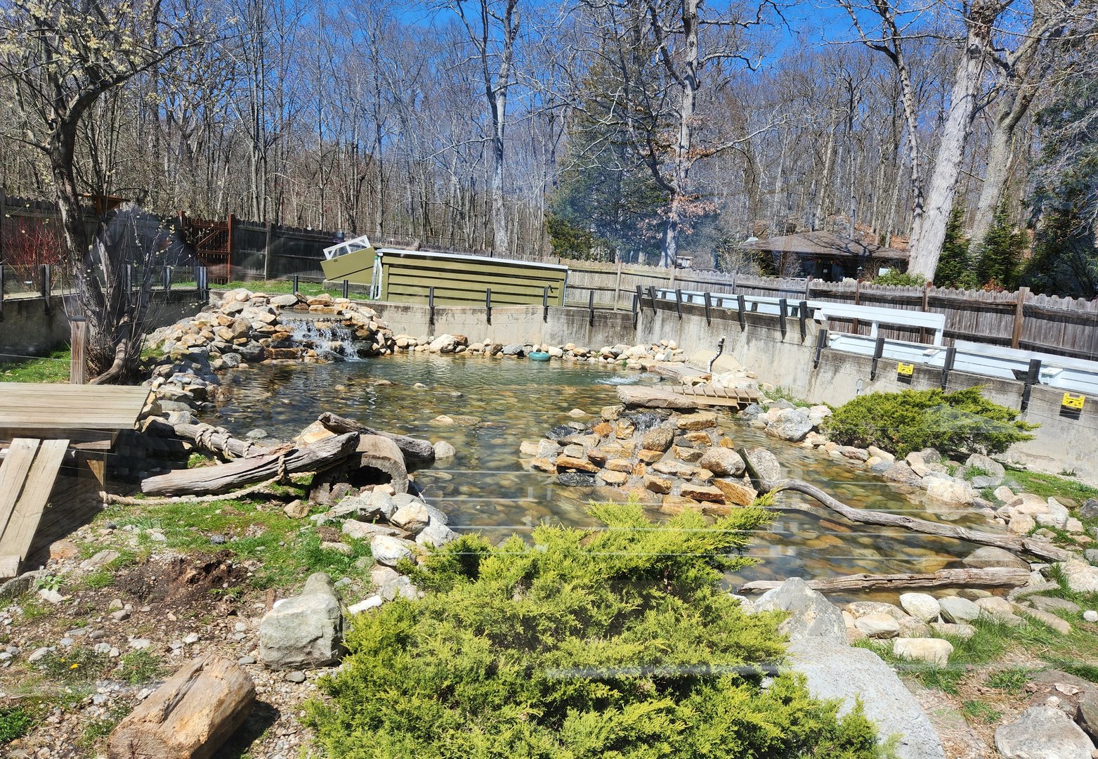 Stamford Museum & NC - North American River Otter exhibit