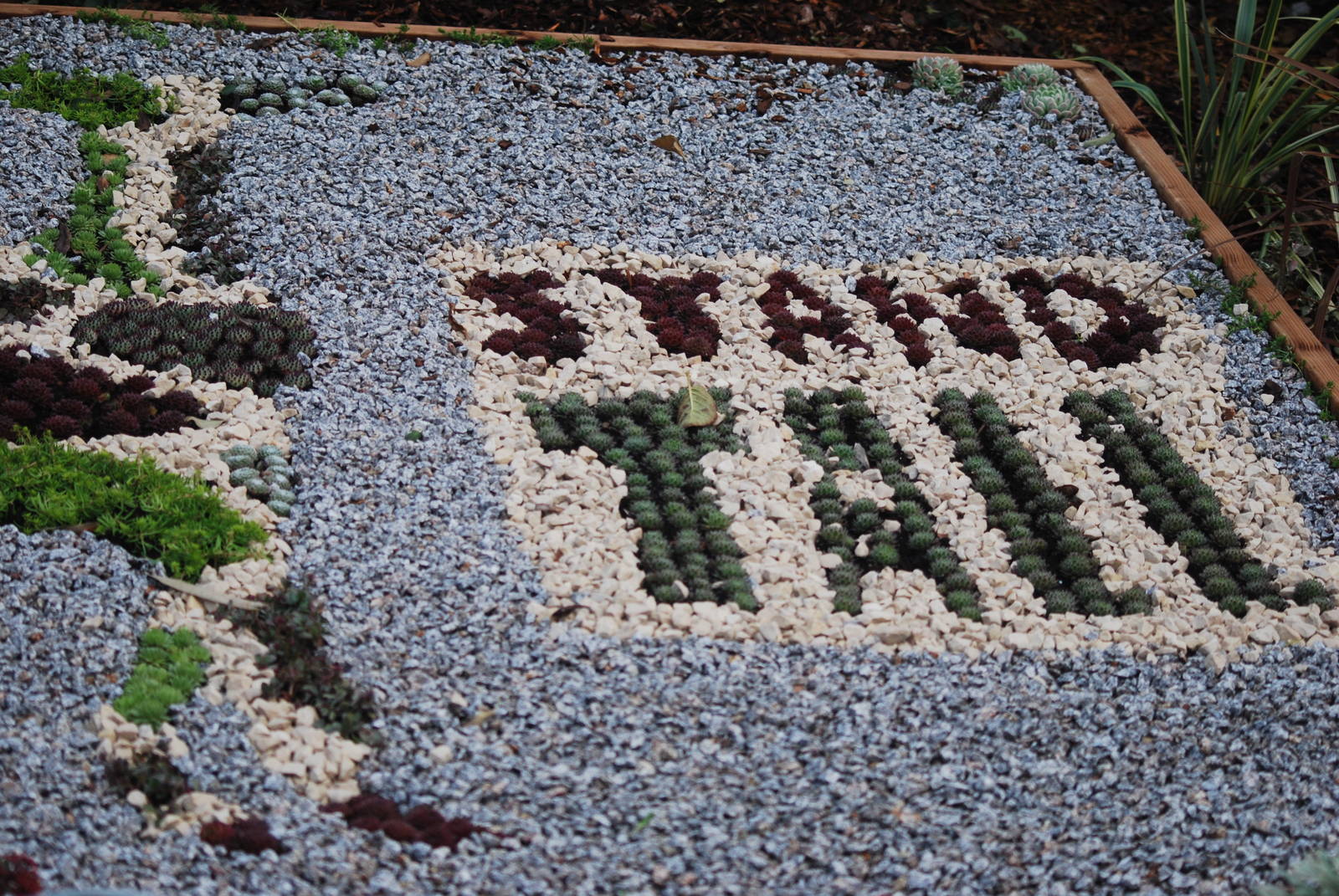 Stand Tall garden, 18/12/2012