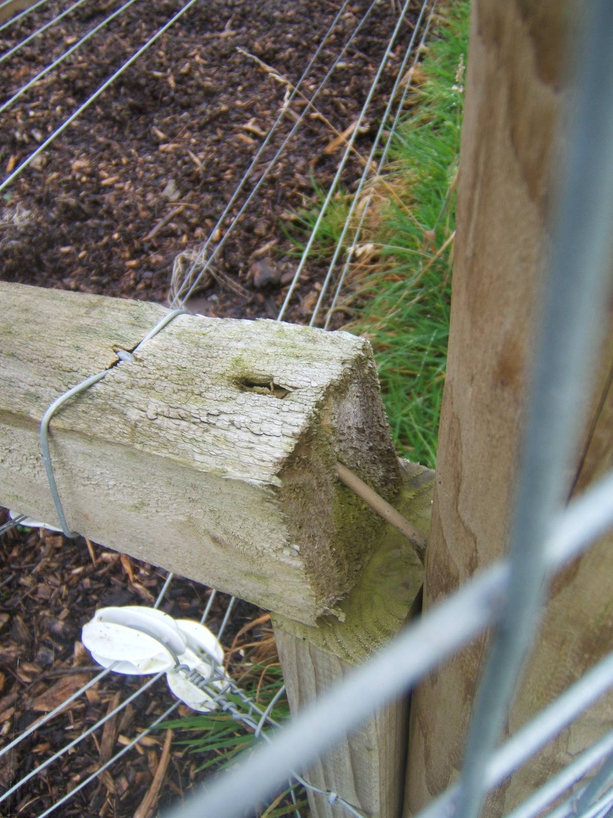 Standard build quality,this picture was taken on the new coati enclosure