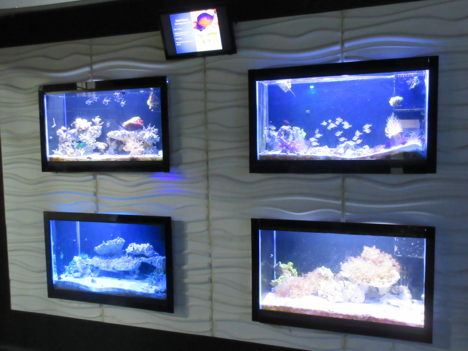 Standard Tanks (with touch screens everywhere)