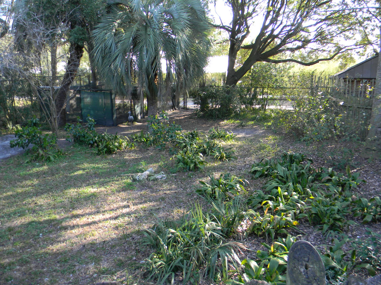 Stanely Crane exhibit