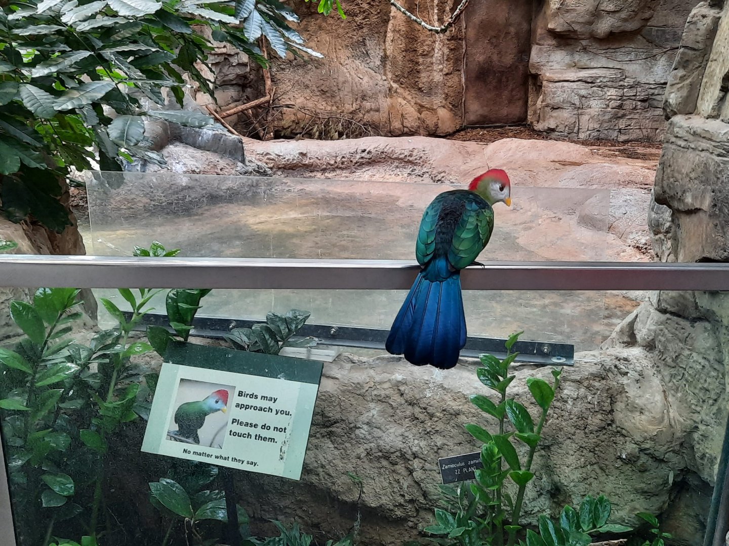 Stanley and his Sign