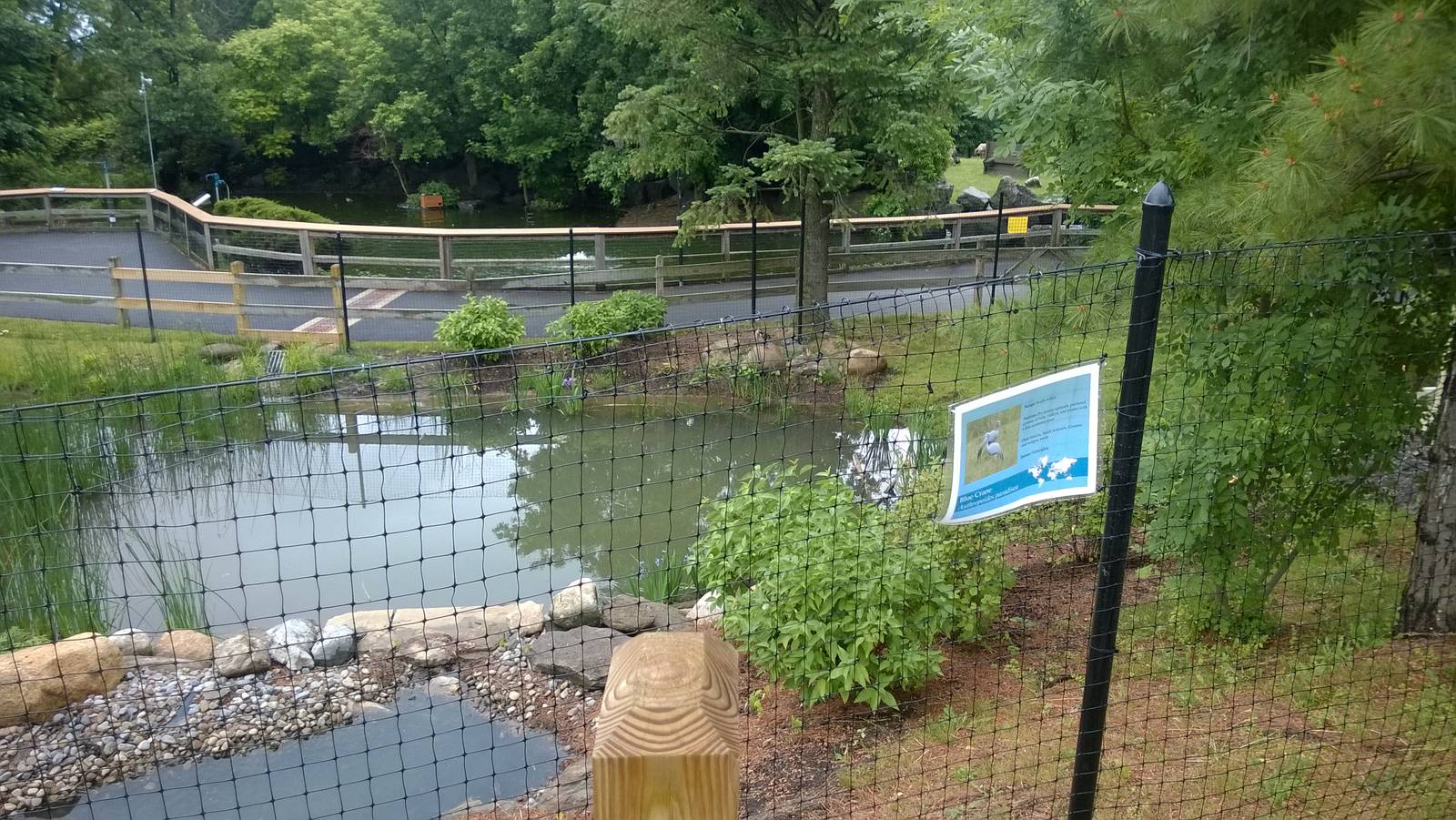 Stanley (Blue) Crane Exhibit
