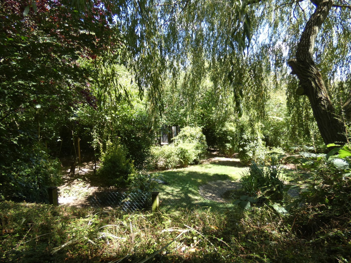 Stanley Crane and Blue Duiker enclosure