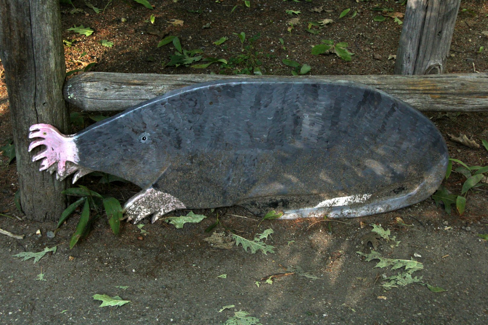 Star-nosed Mole Statue