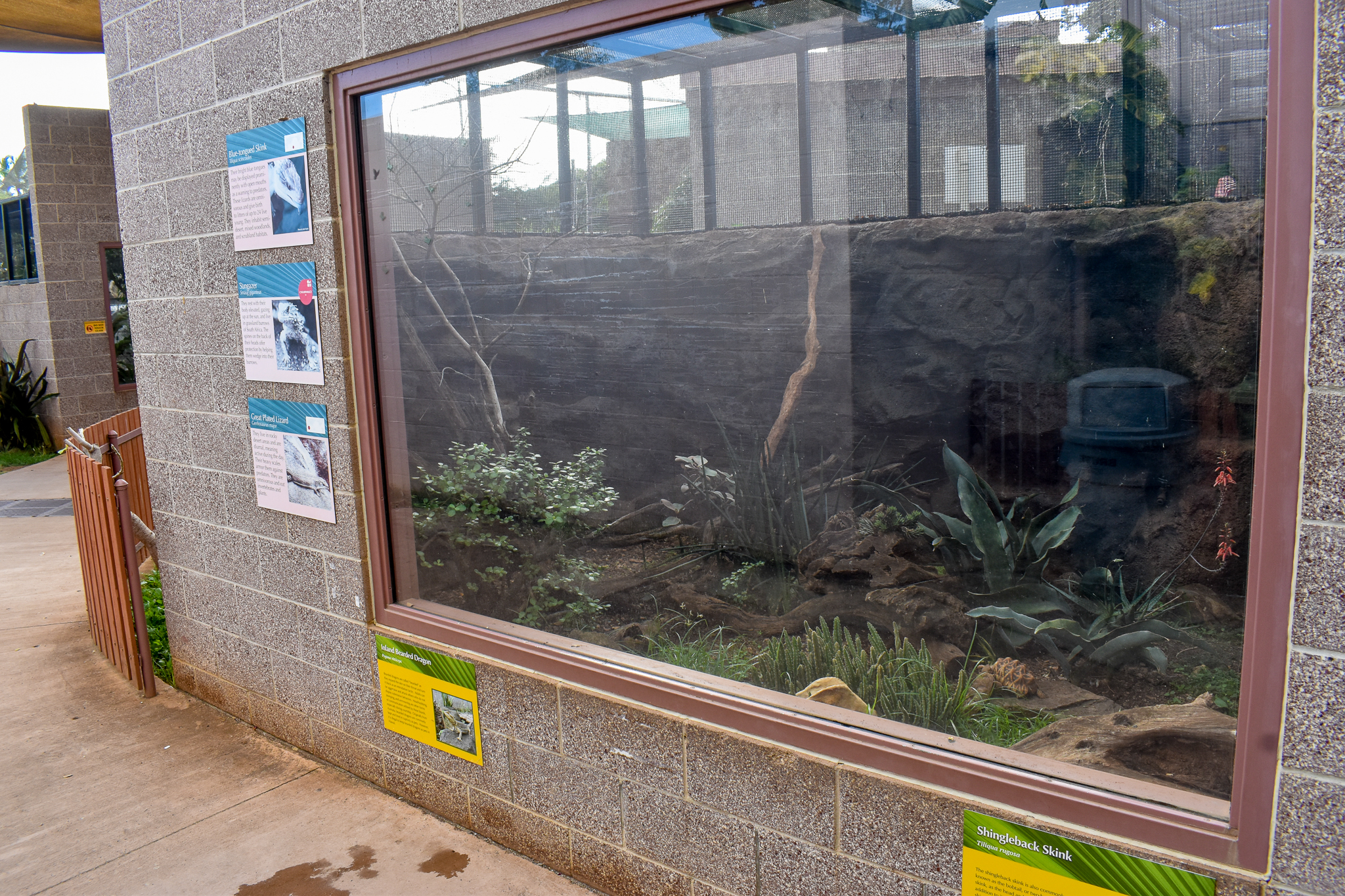 Star Tortoise/Assorted lizard enclosure