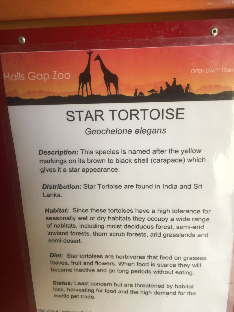 Star Tortoise Information Sign