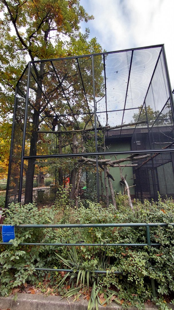 Starling + curassow aviary