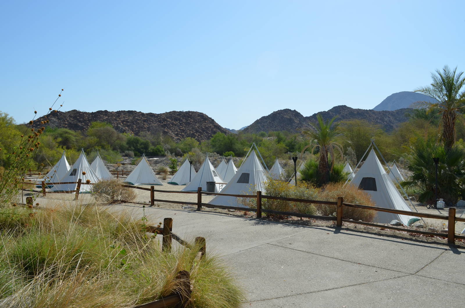 Starry Nights Campground