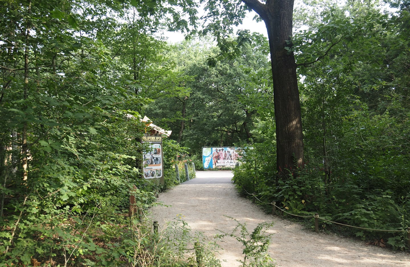 Start of the Madagascar area, 2024-08-18