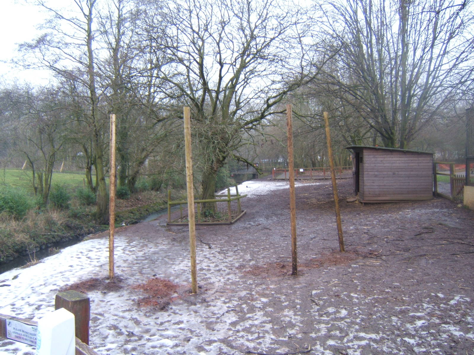 Start of work on new Lemur enclosure