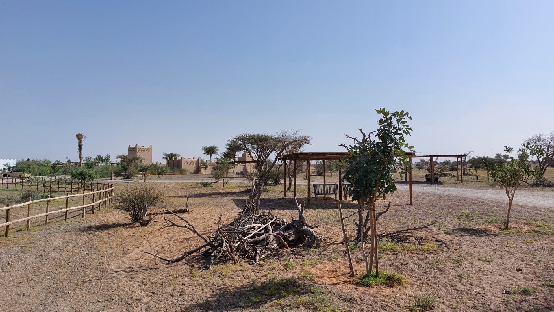 start Sahel exhibit, bases camp in background