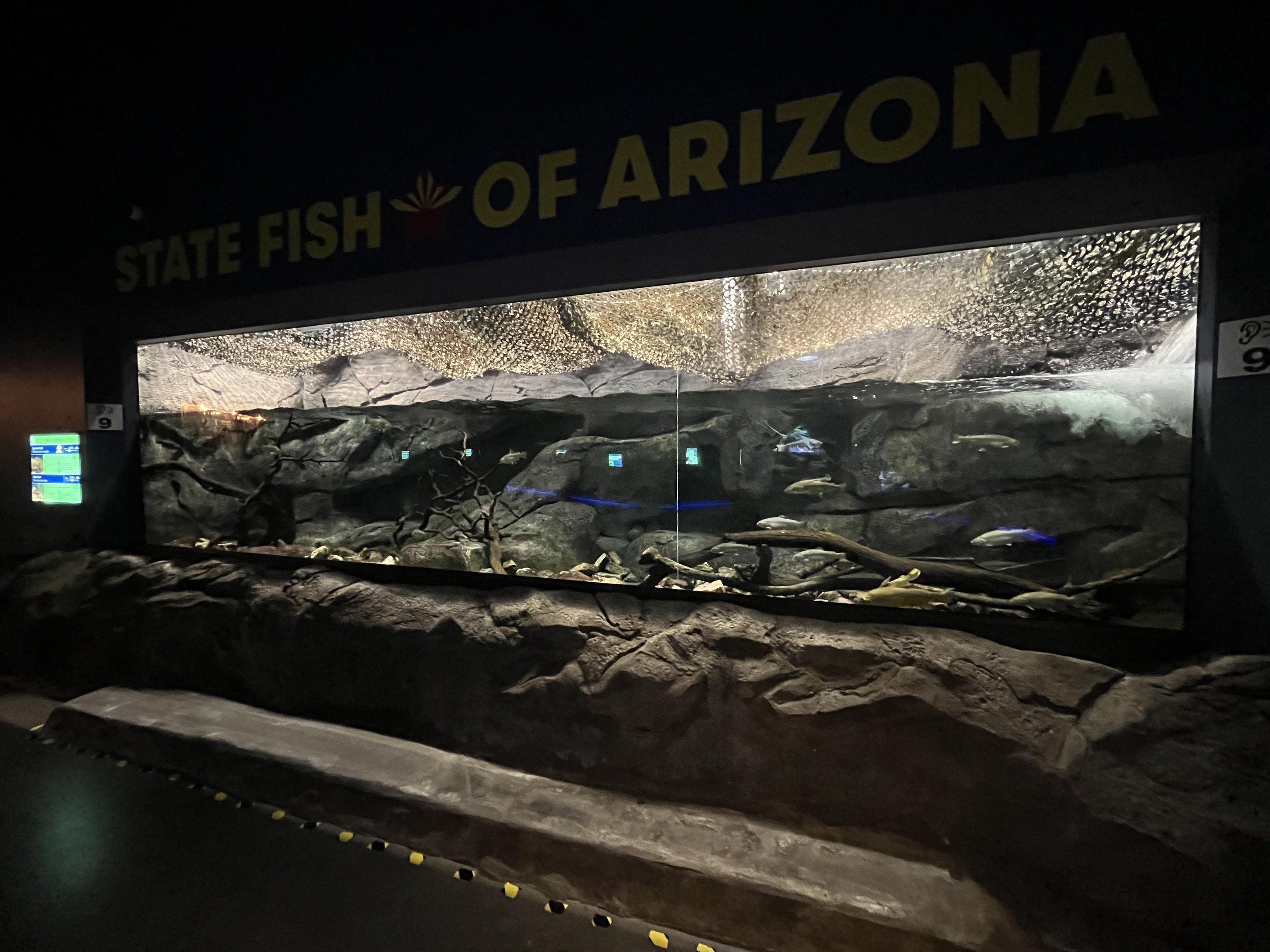 State Fish of Arizona Exhibit