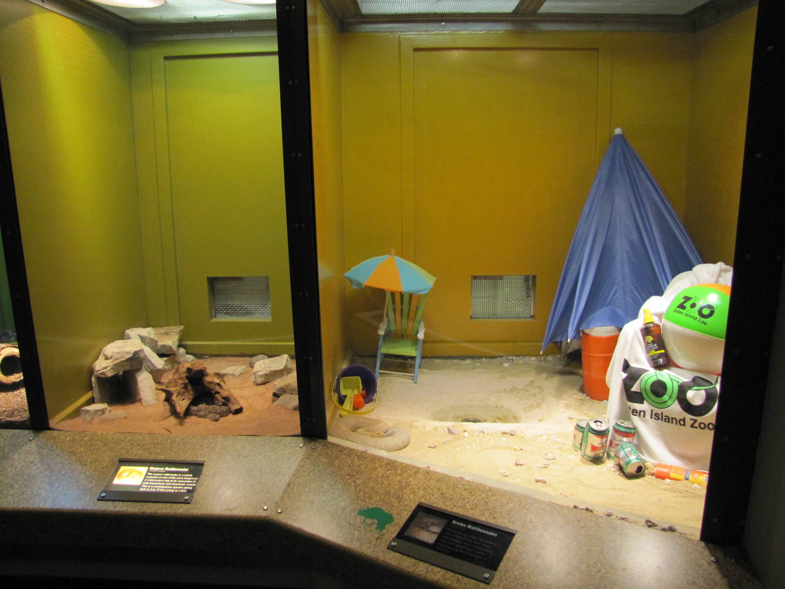 Staten Island Zoo 2010 - Aruba Rattlesnake and Mojave Rattlesnake exhibits